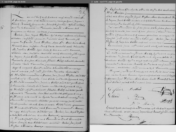 Acte de mariage de Hadelin Joseph Defleur et de Joséphine Collard, Sommière, 8 novembre 1869 — les époux et leurs parents, les pièces lues ; puis les consentements, les témoins, les signatures et la clôture du registre de 1869 ; les deux pages côte à côte