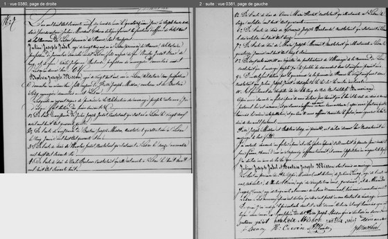 Acte de mariage de Julien Joseph Jadot et de Béatrix Joseph Misson, Lesve, 14 mai 1869 — les époux et leurs parents, les pièces lues ; puis les consentements, les témoins et les signatures ; les deux pages côte à côte