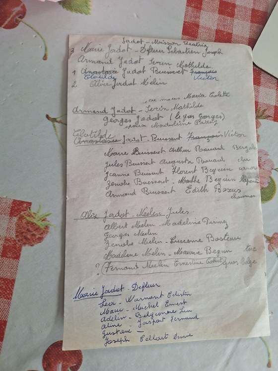 Notes de famille : les enfants de Julien Joseph Jadot et de Béatrix Misson, leurs conjoints et leurs enfants — un feuillet au crayon et à l'encre, ni daté ni signé