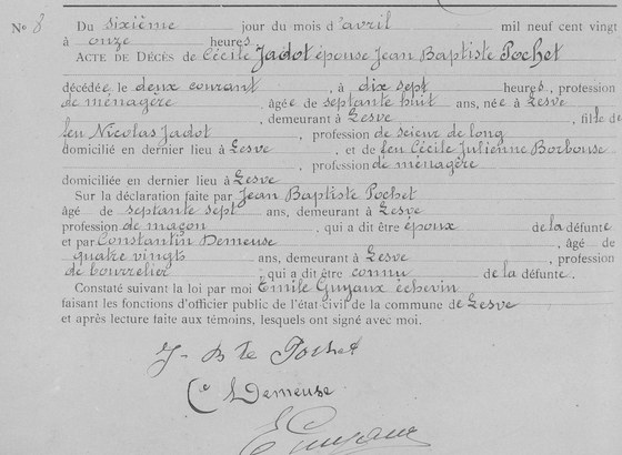 Acte de décès, Lesve, 6 avril 1920, n° 8 ;au natif